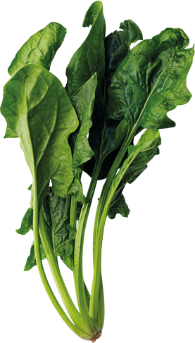 Spinach PNG-79172